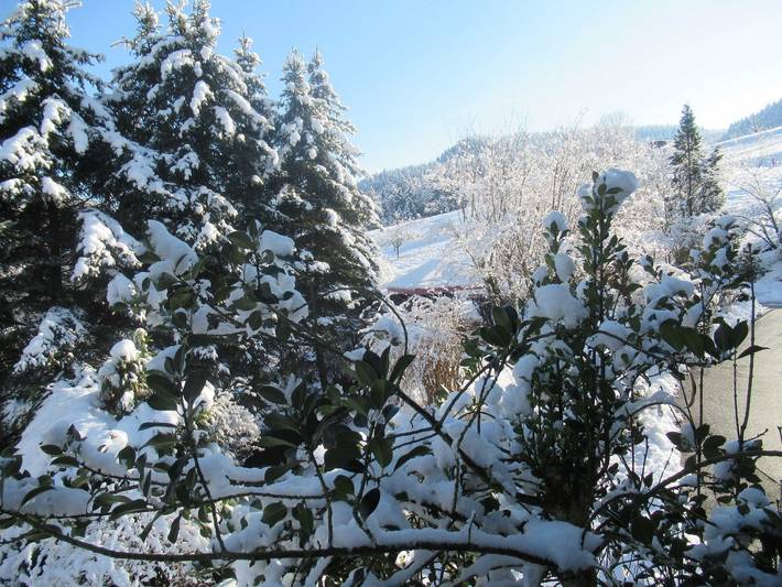 Ferienwohnung für 2 Personen, mit Garten, kinderfreundlich in Ettenheim - 4