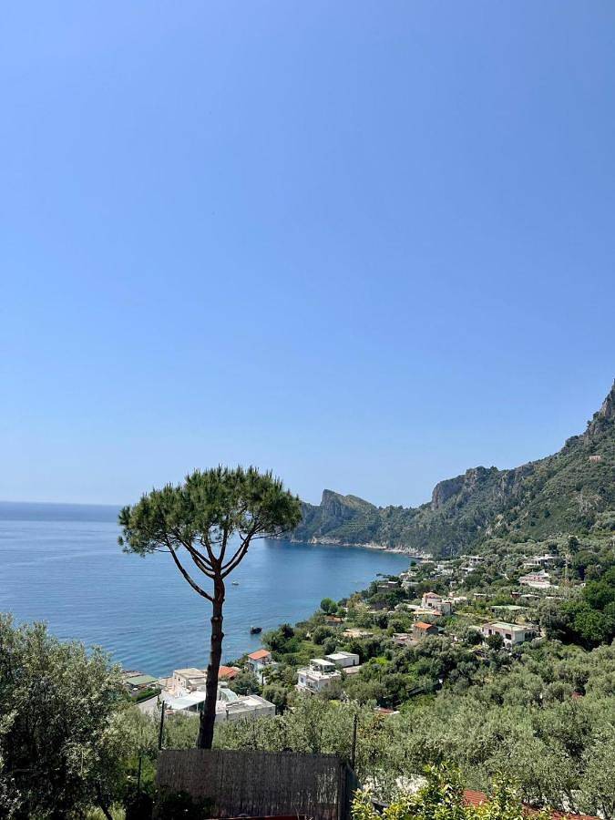 Appartamento intero, Apartment in Nerano, Massa Lubrense