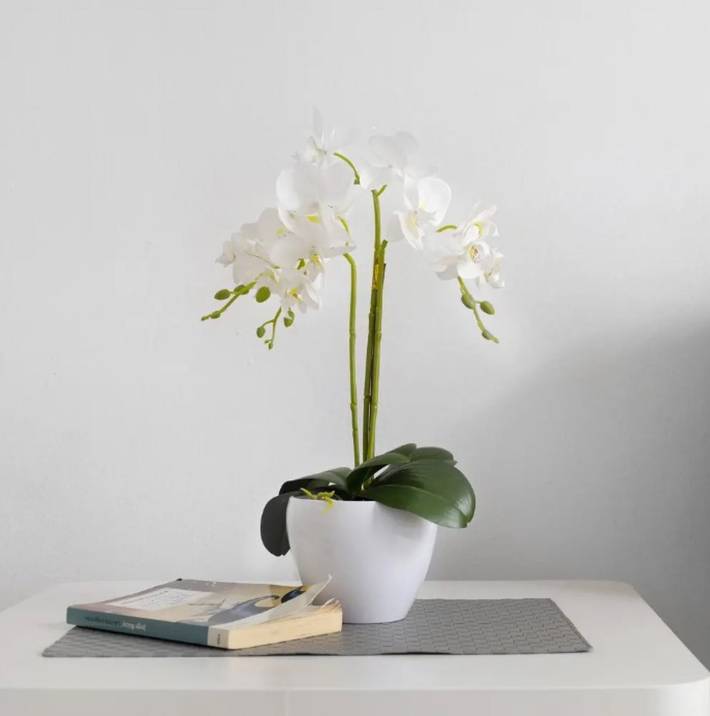 Apartamento de vacaciones para 5 personas - 1