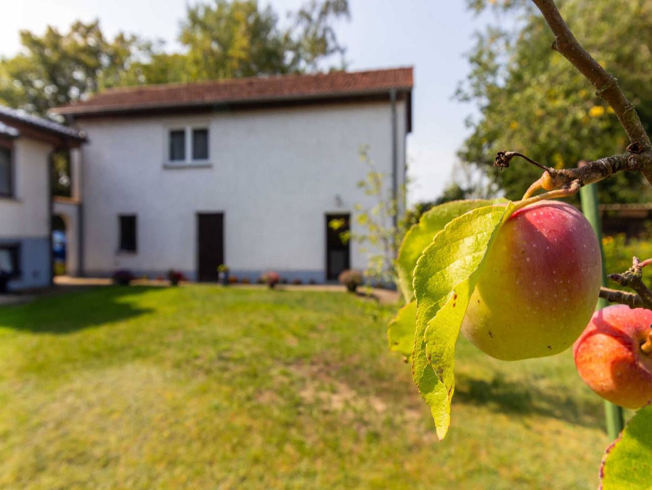 Ganze Ferienwohnung, Ferienunterkünfte Villmann - Ferienwohnung in Patzig, Bergen auf Rügen und Umgebung