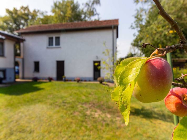 Ganze Ferienwohnung, Ferienunterkünfte Villmann - Ferienwohnung in Patzig, Bergen auf Rügen und Umgebung