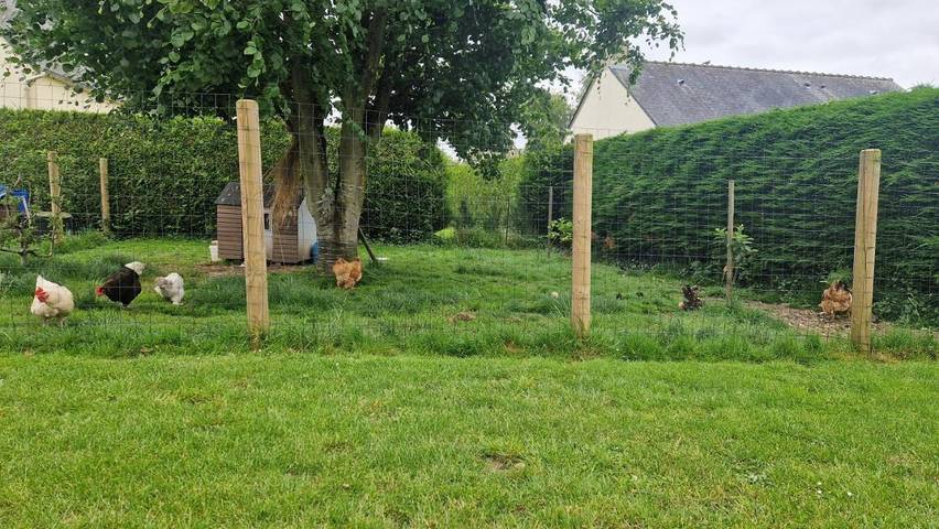 Gîte pour 6 personnes, avec vue et jardin à Saint-Vigor-le-Grand - 2