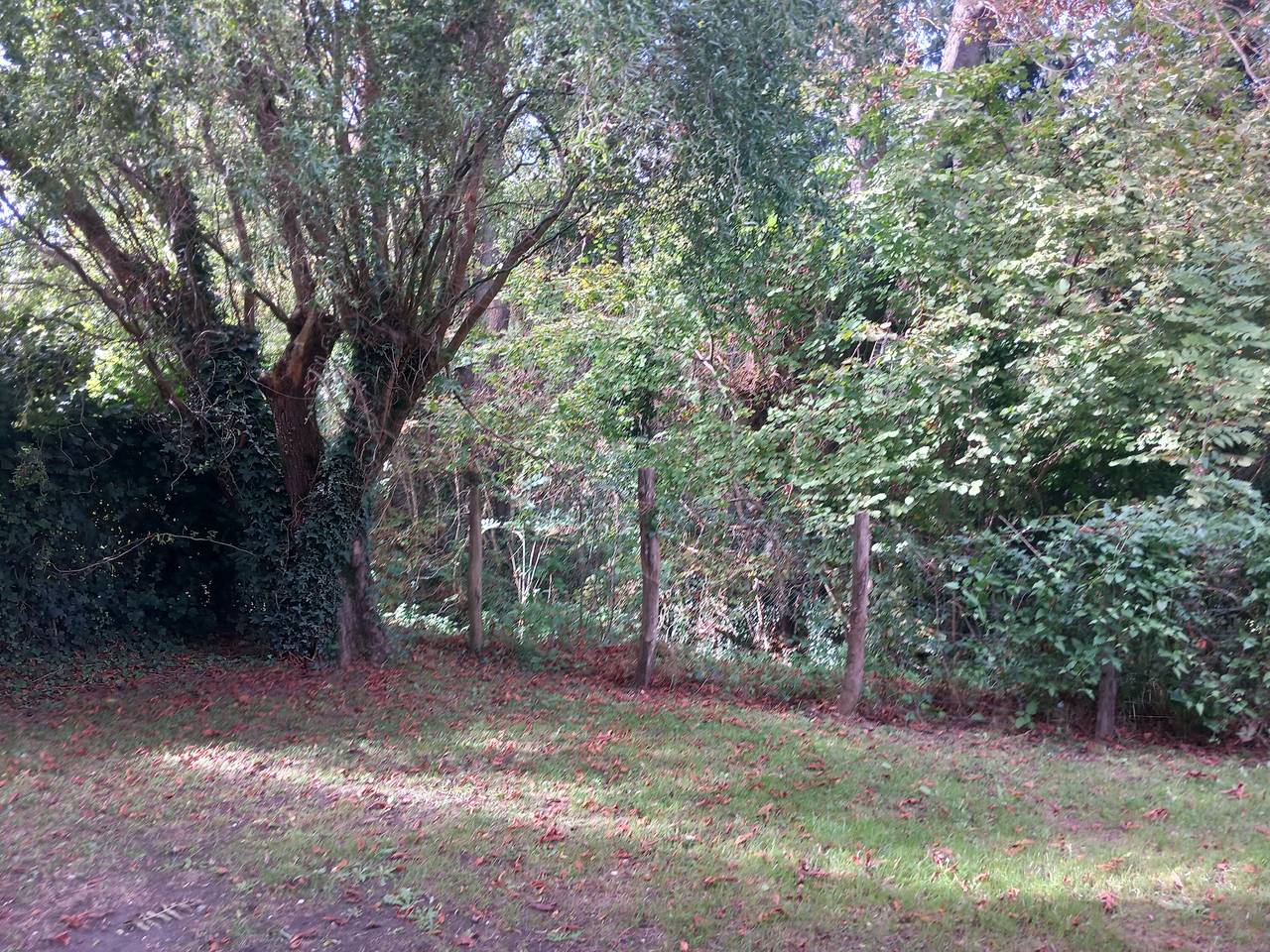 Appartement entier, Appartement 'Résidence Arriu Mage' avec vue montagne, piscine partagée et Wi-Fi in Bielle (Pyrénées-Atlantiques), Béarn