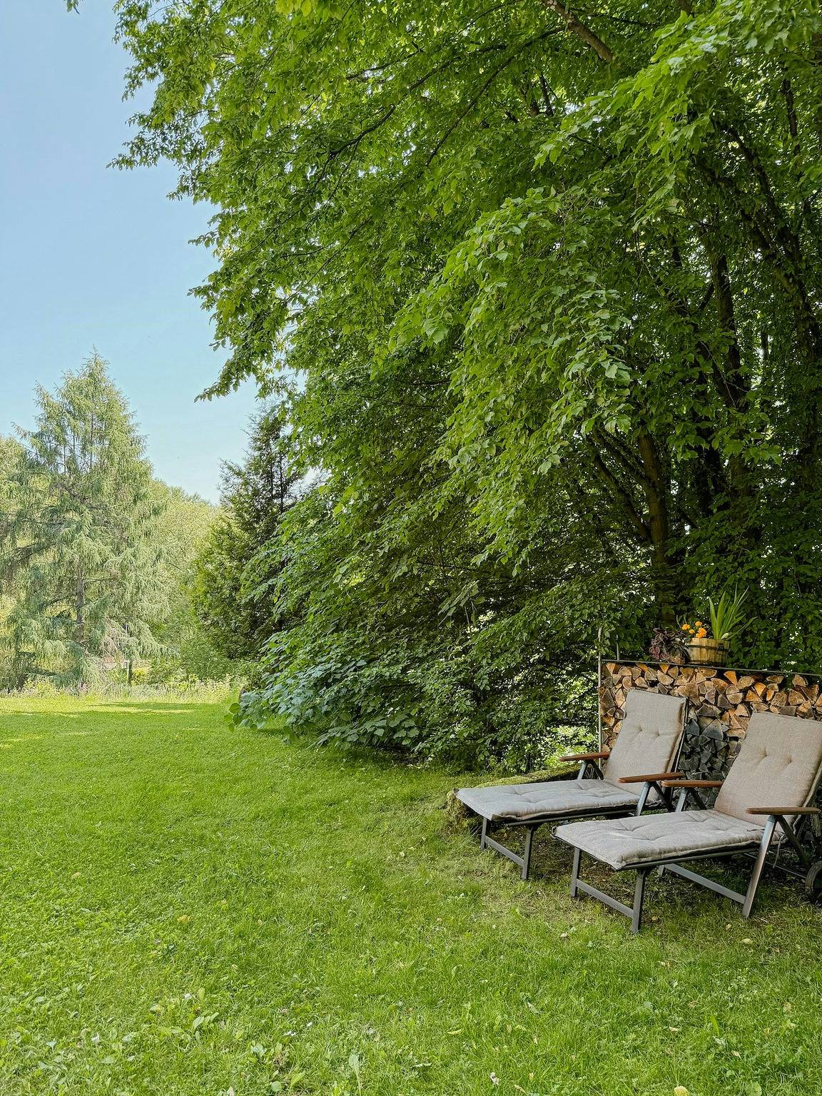 Modernes Ferienhaus am Thüringer Rennsteig in Zella-Mehlis, Rennsteig