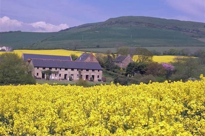 Glamping for 5 people, with garden and terrace, with pets in Jurassic Coast