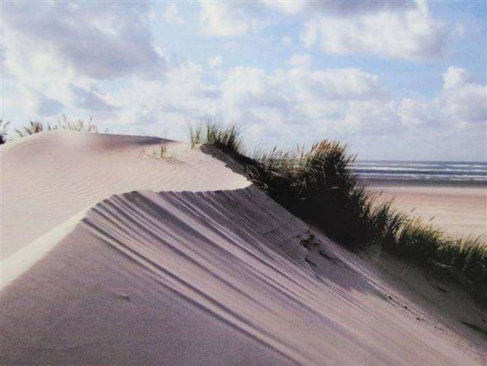 Ganze Ferienwohnung, Ferienwohnungen Dünen und Meer, Familie Neukirch in St. Peter-Bad, St. Peter-Ording