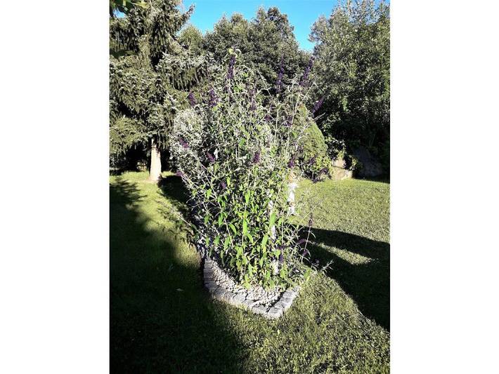Ferienwohnung für 4 Personen, mit Balkon und Balkon/Terrasse sowie Garten und Pool in Niederbayern - 4