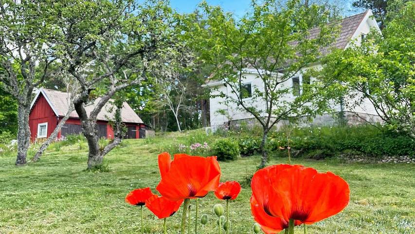 Ferienhaus für 5 Personen, mit Garten in Blekinge