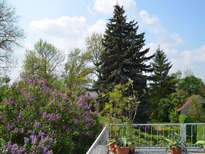 Ferienwohnung für 5 Personen, mit Terrasse in Lübbenau - 4