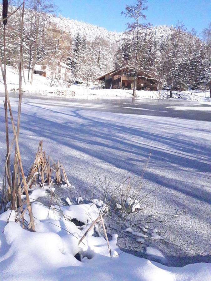 Gîte pour 4 personnes, avec jardin ainsi que jacuzzi et sauna à La Chapelle-devant-Bruyères - 4