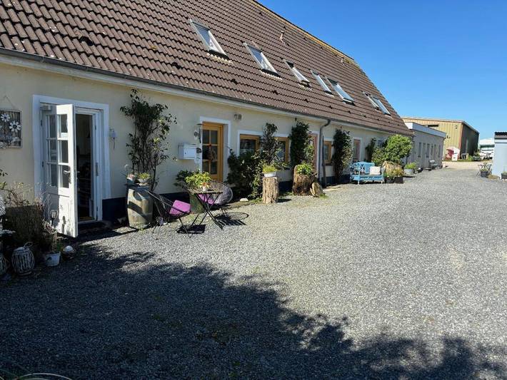 Bauernhof für 4 Personen, mit Terrasse und Garten sowie Sauna in Flensburger Förde - 3