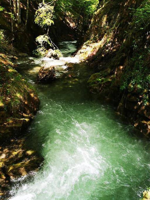 Gîte pour 8 personnes, avec jardin et vue à Ustou - 4