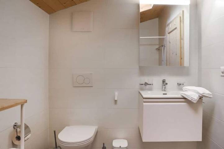 Appartement entier, Les Savolaires 4 in Gryon, Alpes Vaudoises