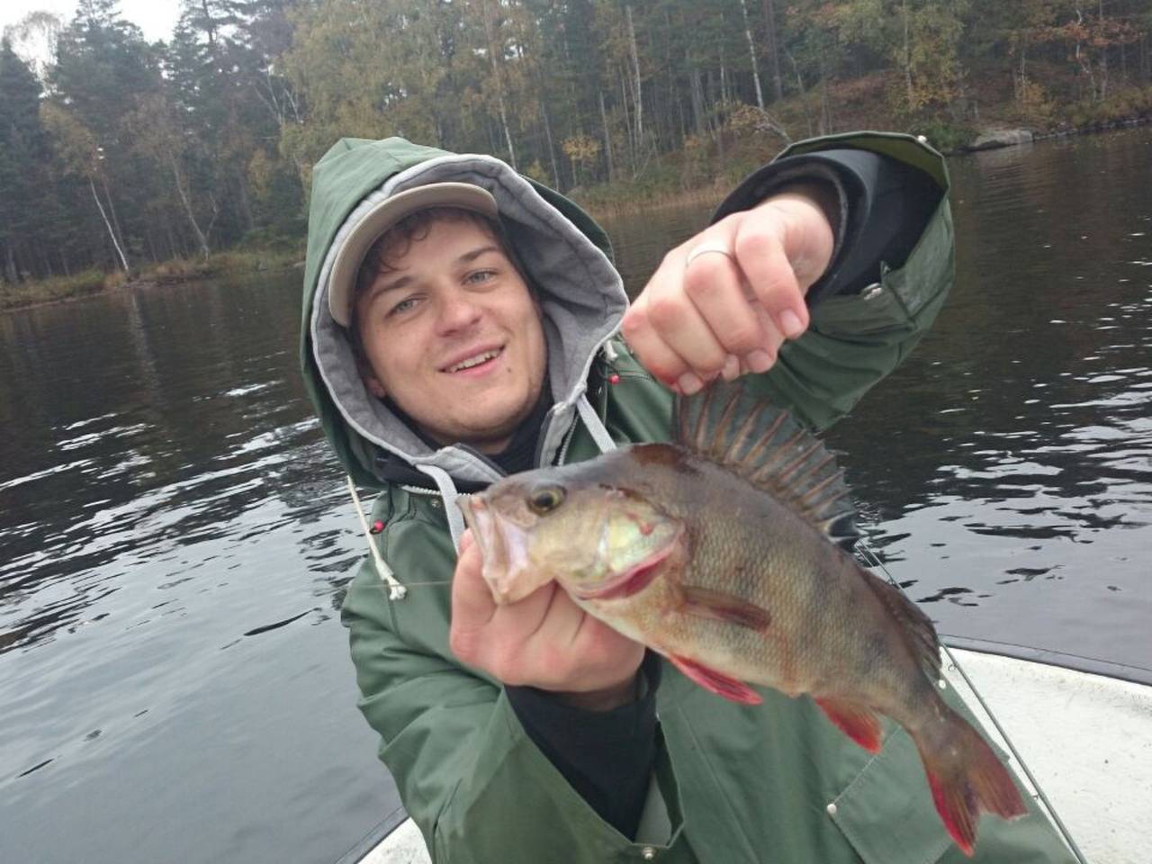 Cottage mit Whirlpool in Kalvshult, Kronoberg