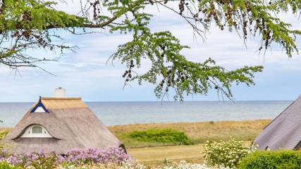 Strandhaus für 2 Personen, mit Terrasse in Ahrenshoop