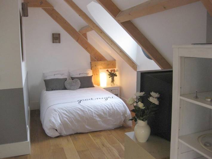 Chambre d’hôte pour 2 personnes, avec terrasse à Issy-les-Moulineaux - 3