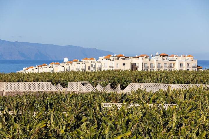 Ferienwohnung für 4 Personen, mit Terrasse und Pool in Adeje - 4