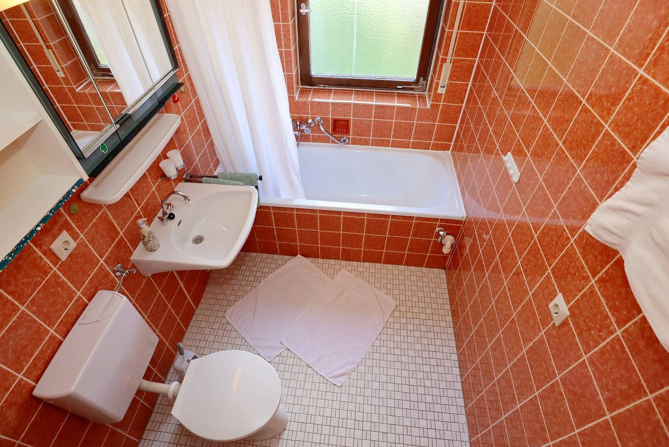 Ganze Wohnung, Ferienwohnung 'Fingerhut' mit Bergblick, privater Terrasse und Wi-Fi in Altglashütten (Feldberg), Feldberg
