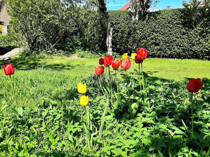 Ferienwohnung für 2 Personen, mit Garten und Terrasse an der Nordsee - 4