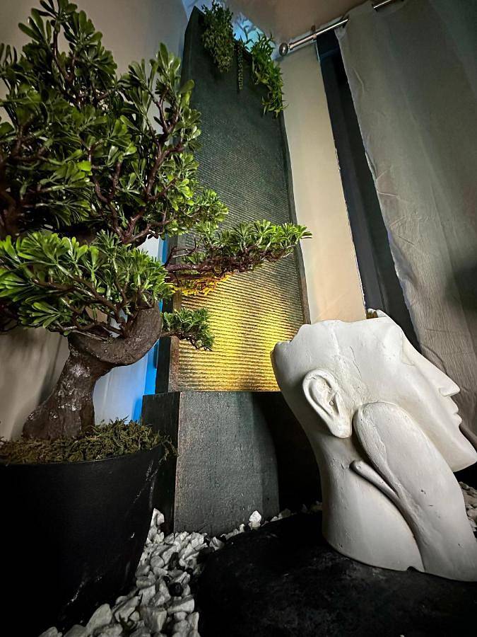 Location de vacances pour 6 personnes, avec terrasse ainsi que jacuzzi et jardin, animaux acceptés à Boulogne-sur-Mer - 3