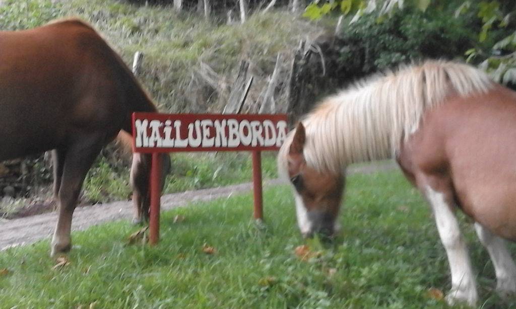 Maison Mailuenborda in Sare, Région de Bayonne