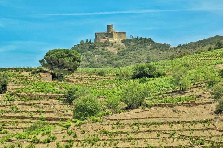 Gîte pour 6 personnes, avec terrasse à Collioure - 3