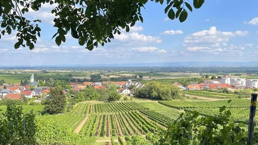 Ferienwohnung für 2 Personen, mit Balkon in Schweigen-Rechtenbach - 4