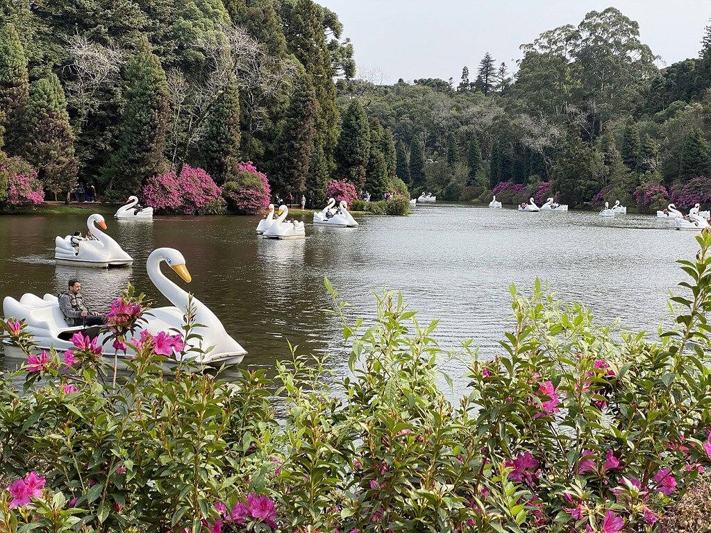 Ganze Wohnung, Luxuriöse Wohnung mit Blick auf die Stadt in der Nähe von Lago Negro. in Gramado, Rio Grande do Sul