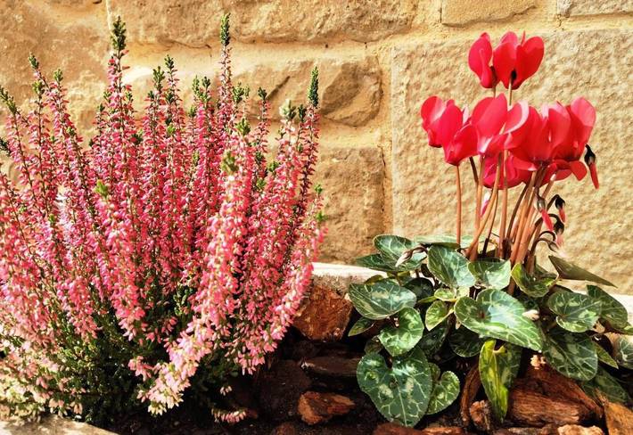 Casa rural para 8 personas, con piscina además de vistas y jardín en Navarra - 2