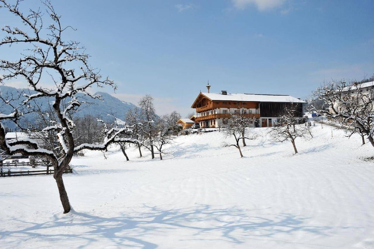 Ganze Wohnung, Stegerbauer in Kirchbichl, Kaisergebirge