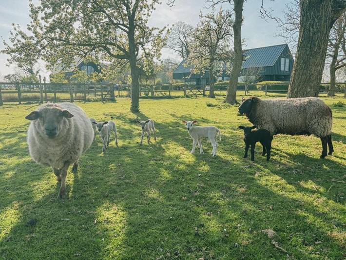 Location de vacances pour 2 personnes, avec vue et jardin à Zedelgem - 2