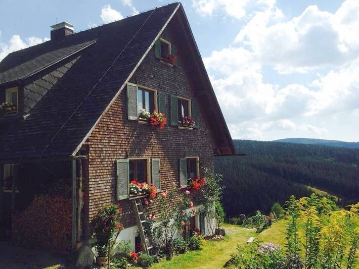 Ferienhaus für 12 Personen, mit Sauna und Pool sowie Whirlpool und Garten in Feldberg - 4
