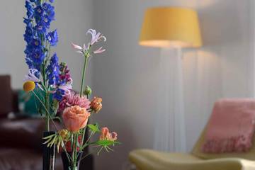 Glamping voor 10 Personen in Oostkapelle, Zeeuwse Kust, Afbeelding 3