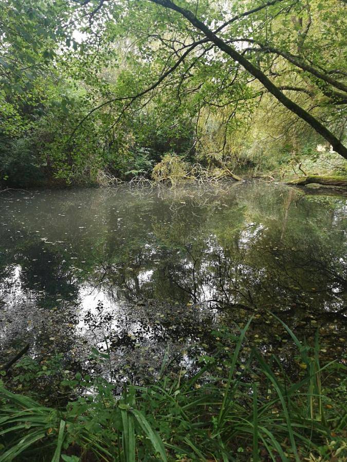Gîte pour 4 personnes, avec jacuzzi et jardin dans Souleuvre-en-Bocage - 2