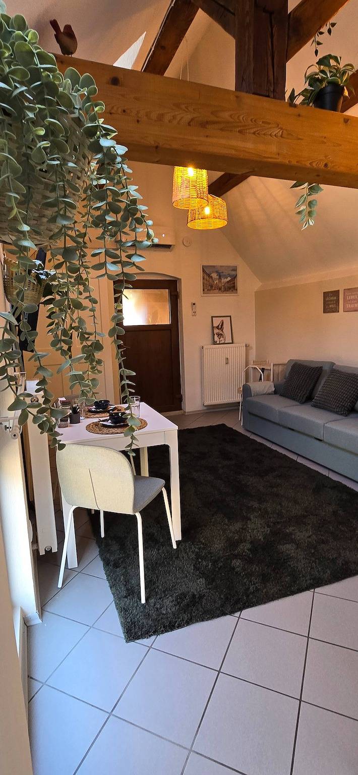 Ganze Wohnung, Apartment Mutterstadt Oase One - Mis in Mutterstadt, Pfälzer Rheinebene