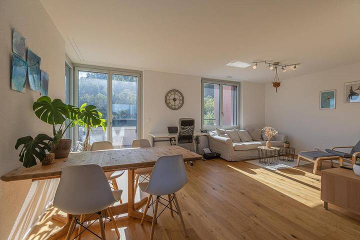 Gîte pour 4 personnes, avec jardin ainsi que terrasse et vue à Winterthour