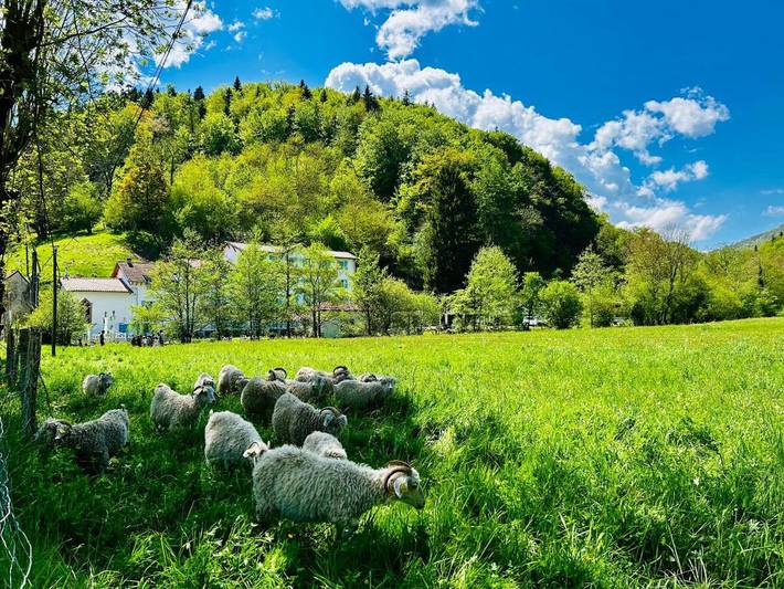Chambre d’hôte pour 2 personnes, avec sauna ainsi que jacuzzi et jardin dans l' Ariège - 2