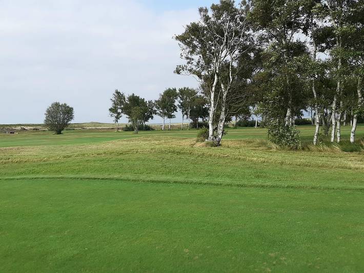 Ferienhaus für 8 Personen, mit Pool und Whirlpool sowie Terrasse und Sauna, mit Haustier auf Læsø - 4