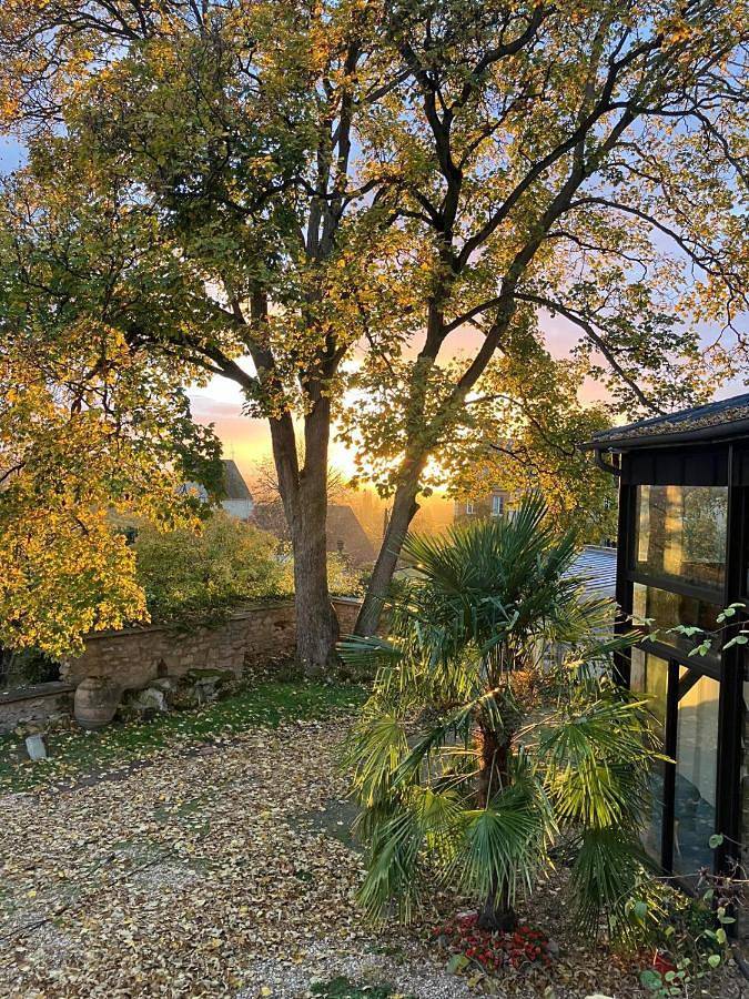 Chambre d’hôte pour 2 personnes, avec vue et terrasse dans Parc naturel régional du Vexin Français - 2