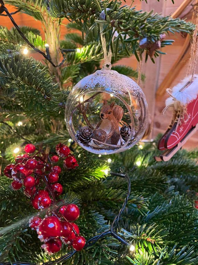 Gîte pour 2 personnes, avec jardin et terrasse à Theux - 3