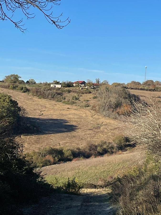 Gîte pour 2 personnes, avec jardin ainsi que terrasse et vue à Cazes-Mondenard - 3