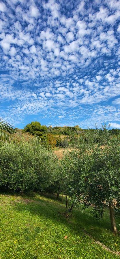 Appartamento per 4 persone, con Balcone e Terrazza nonché Giardino e Panorama a Gradara