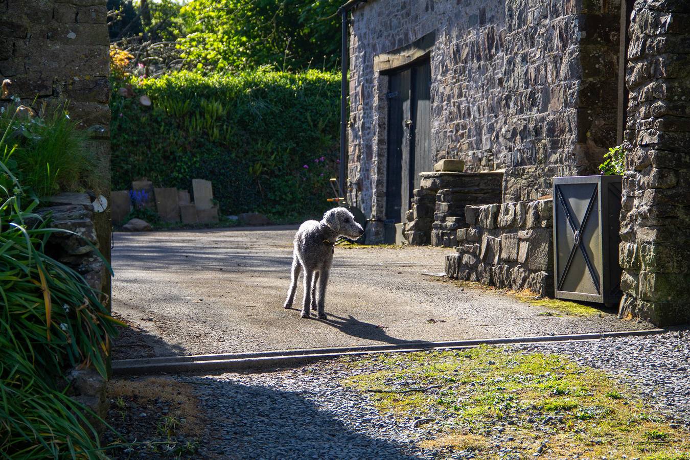 Carrows Stable in Cornwall