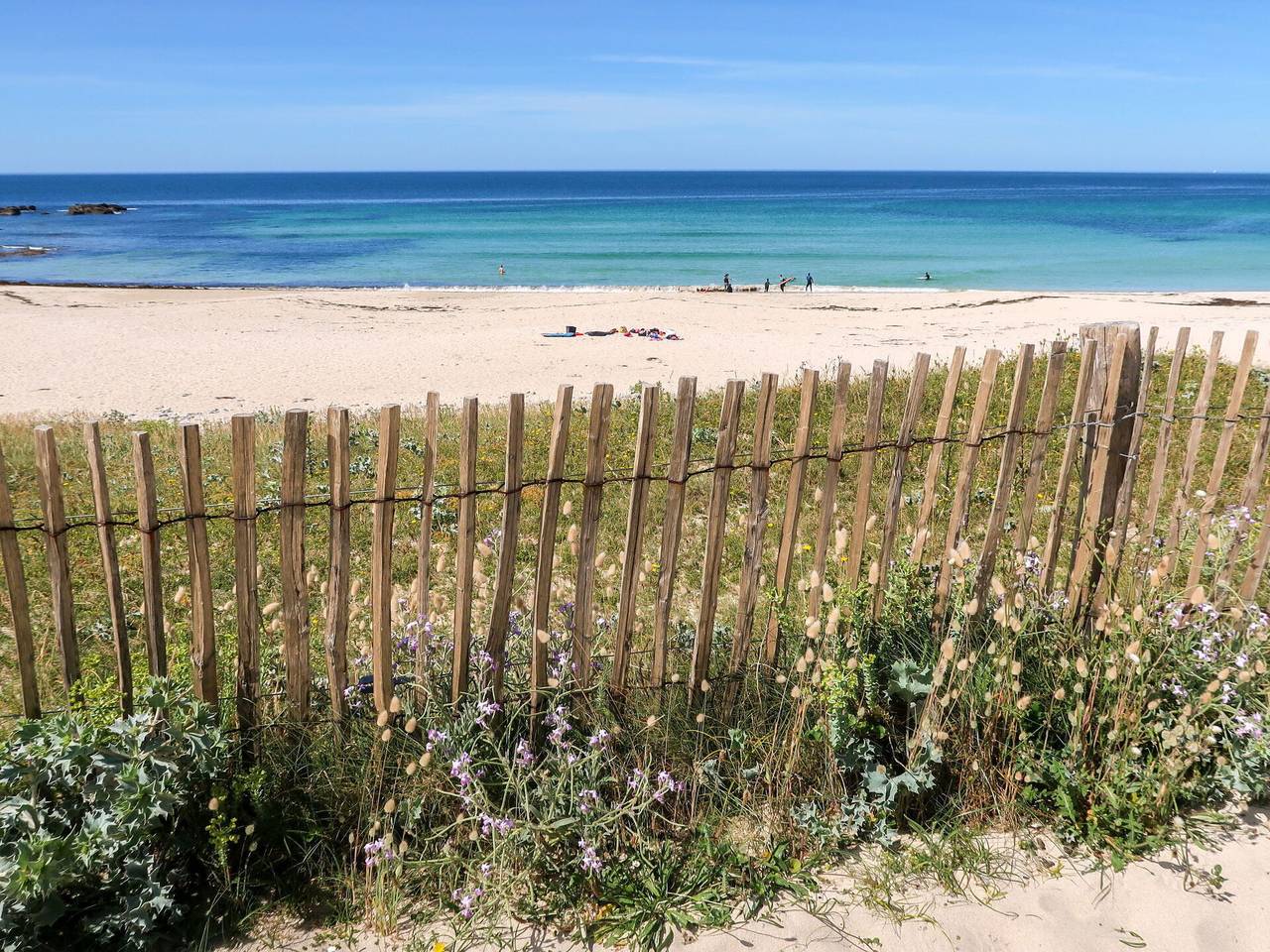 Plozévet 605 - Les Blés 605.3 in Plozévet, Côte de Cornouaille