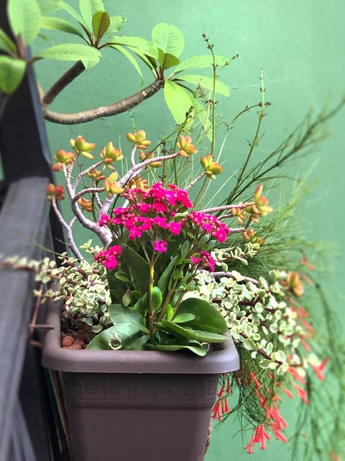 Ferienwohnung für 2 Personen, mit Balkon und Meerblick auf La Palma - 4