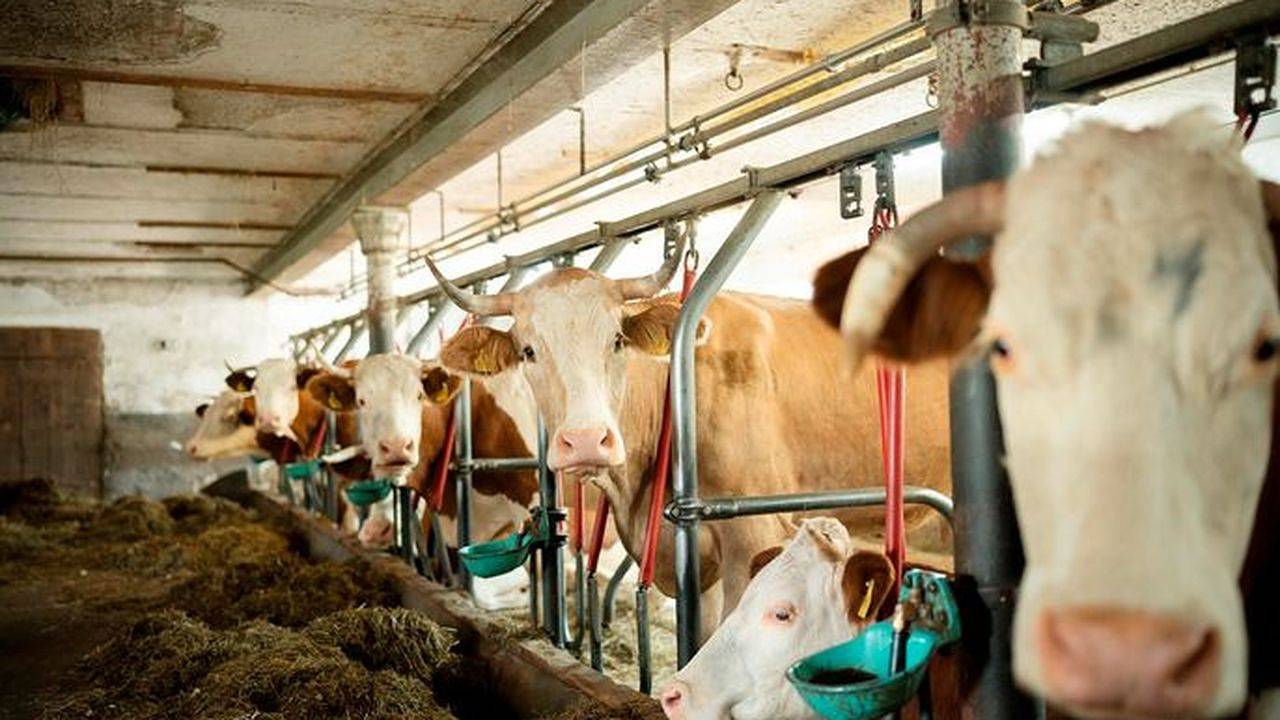 Ganze Ferienwohnung, Ferienwohnung für 2 Personen (42 m²) in Saulgrub in Altenau (Bayern), Saulgrub