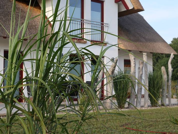 Ferienhaus für 8 Personen, mit Garten und Sauna in Poseritz - 3