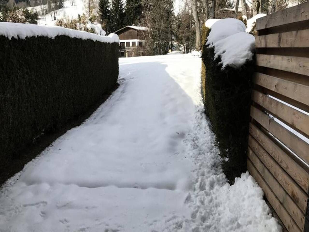 Appartement entier, Résidence Edelweiss in Demi-Quartier, Pays du Mont-Blanc