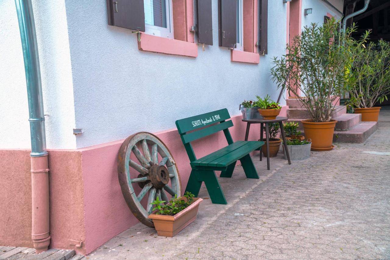 Ganze Wohnung, Schulte Appartements & Mehr in Meißenheim, Mittlerer Schwarzwald