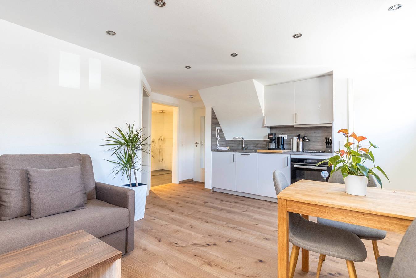 Ganze Wohnung, Ferienwohnung 'Appartement Erdgeschoss' mit Bergblick, privater Terrasse und Wi-Fi in Suedlicher Schwarzwald, Lenzkirch